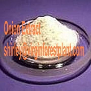 Onion Extract (Shirley At Virginforestplant Dot Com) 
